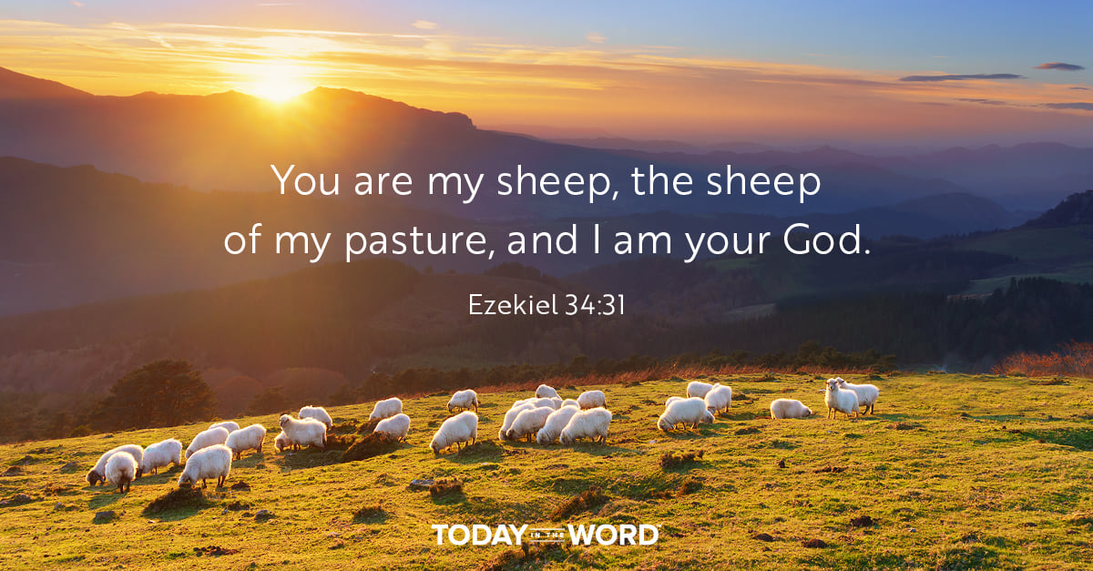 Daily Devotional Bible Verse | Ezekiel 34:31 You are my sheep, the sheep of my pasture, and I am your God.