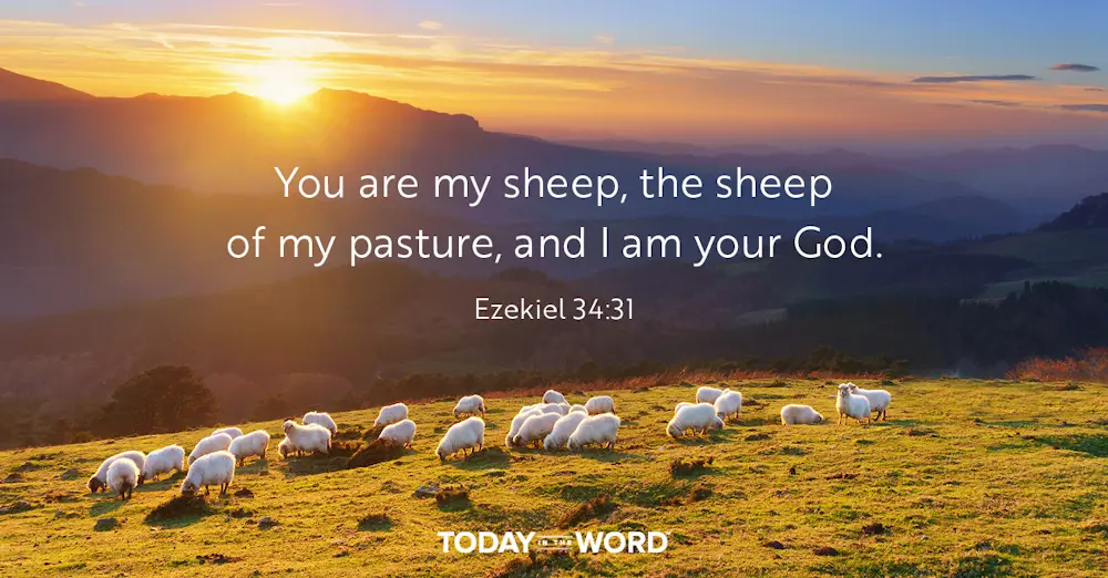 Daily Devotional Bible Verse | Ezekiel 34:31 You are my sheep, the sheep of my pasture, and I am your God.