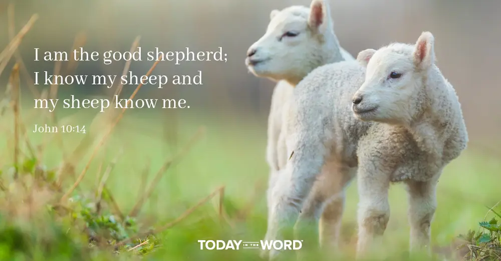 Daily Devotional Bible Verse | John 10:14 I am the good shepherd; I know my sheep and my sheep know me.