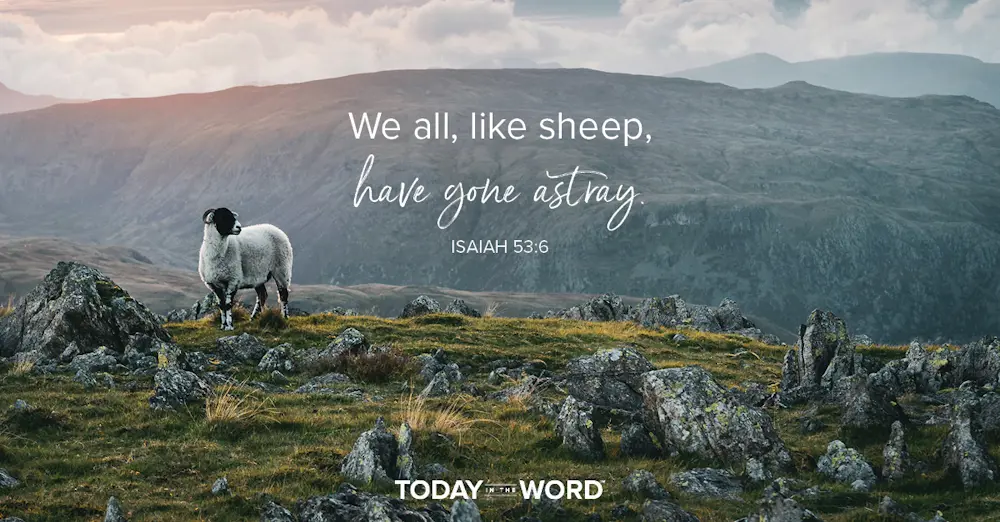 Daily Devotional Bible Verse | Isaiah 53:6 We all, like sheep, have gone astray.