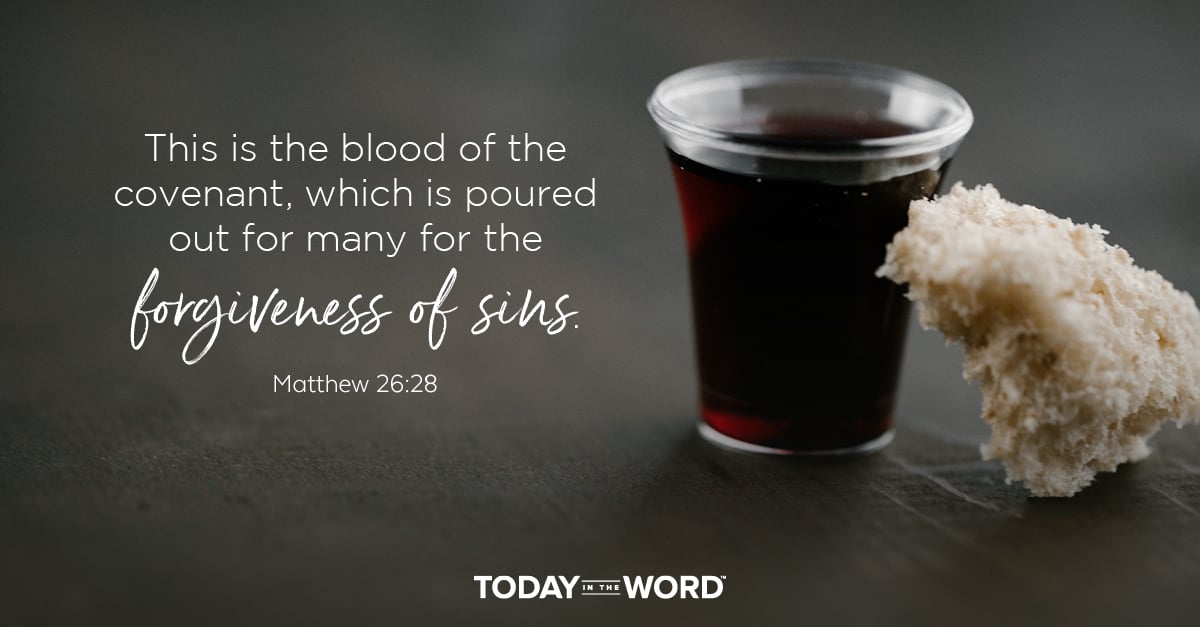 Daily Devotional Bible Verse | Matthew 26:28 This is the blood of the covenant, which is poured out for many for the forgiveness of sins.