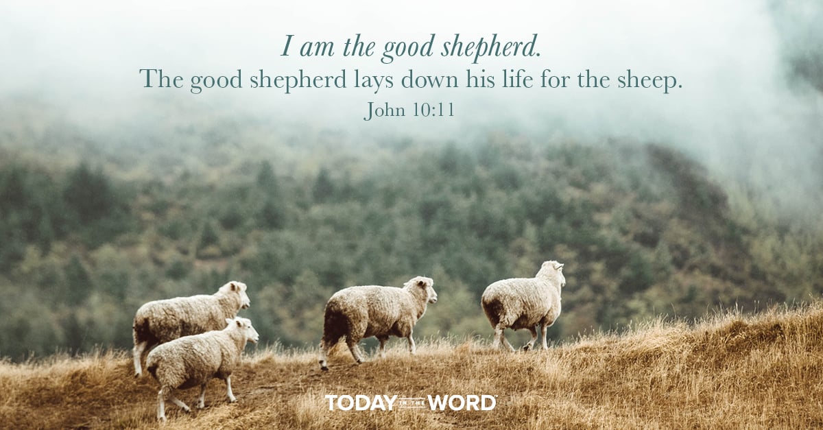 Daily Devotional Bible Verse | John 10:11 I am the good shepherd. The good shepherd lays down his life for the sheep.