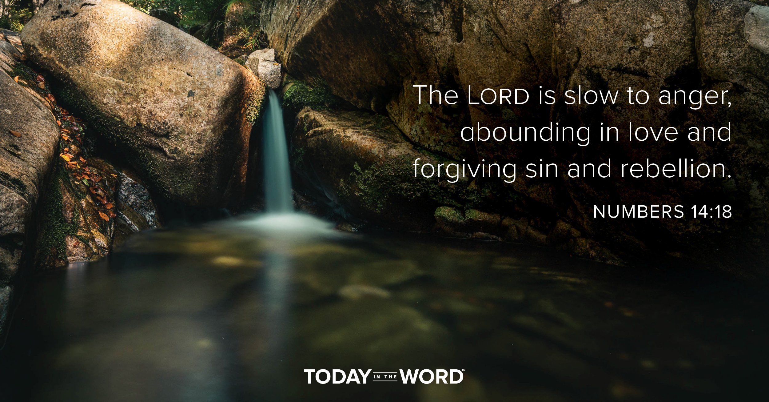 Daily Devotional Bible Verse | Numbers 14:18 The Lord is slow to anger, abounding in love and forgiving sin and rebellion.