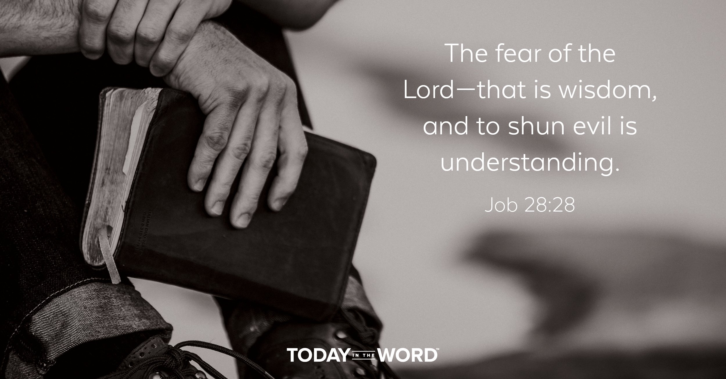 Daily Devotional Bible Verse | Job 28:28 The fear of the Lord - that is wisdom, and to shun evil is understanding.