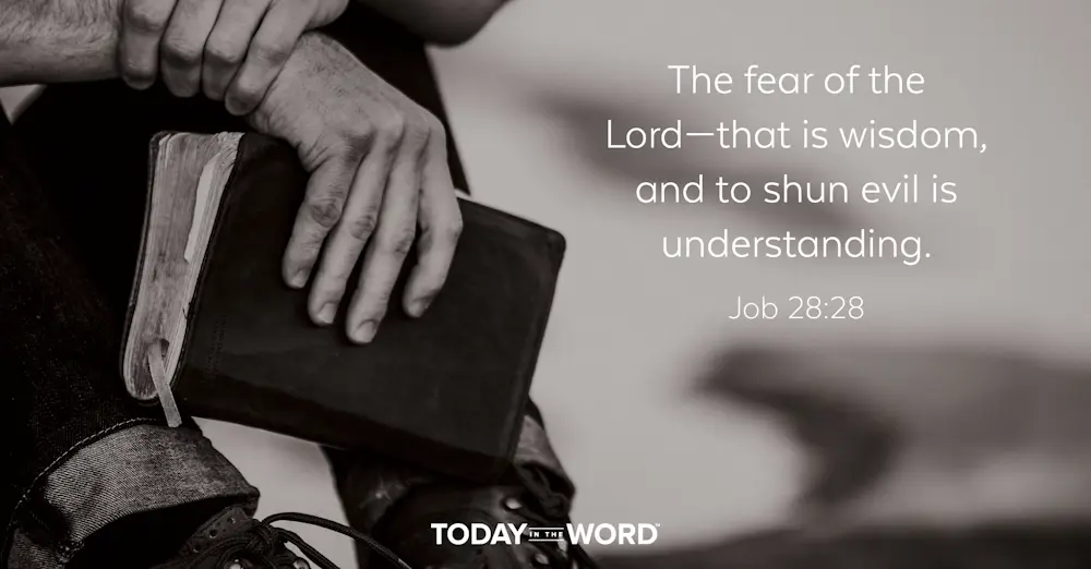 Daily Devotional Bible Verse | Job 28:28 The fear of the Lord - that is wisdom, and to shun evil is understanding.