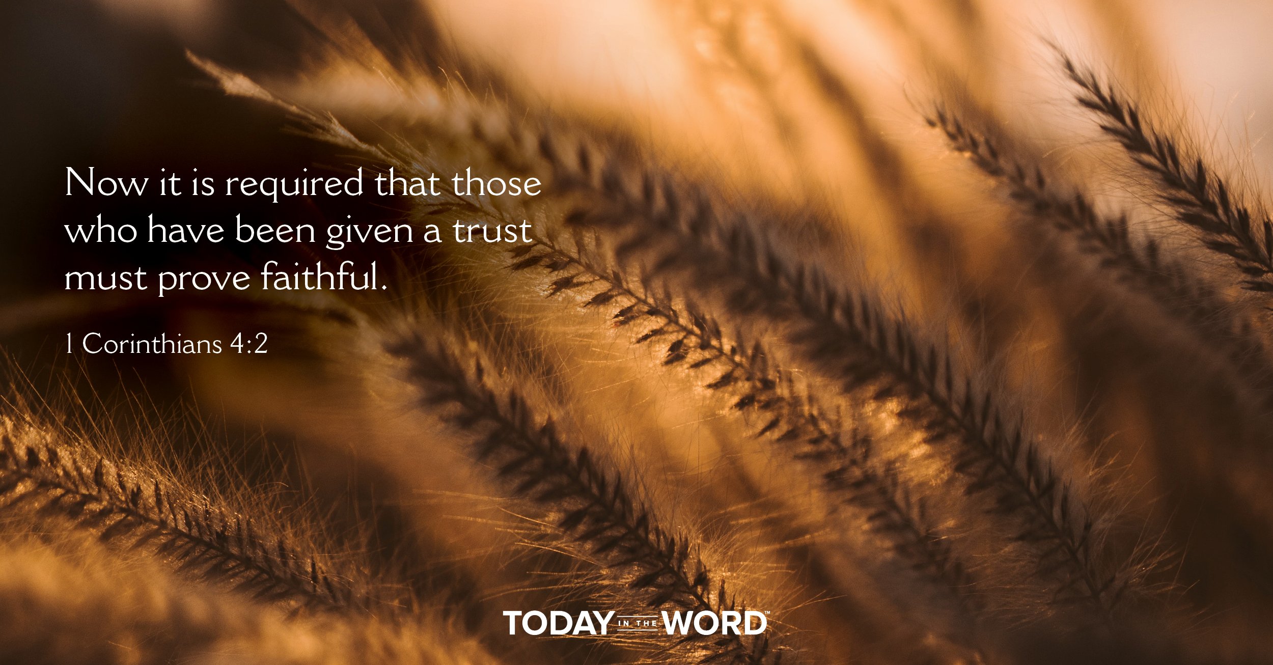 Daily Devotional Bible Verse | 1 Corinthians 4:2 Now it is required that those who have been given a trust must prove faithful.