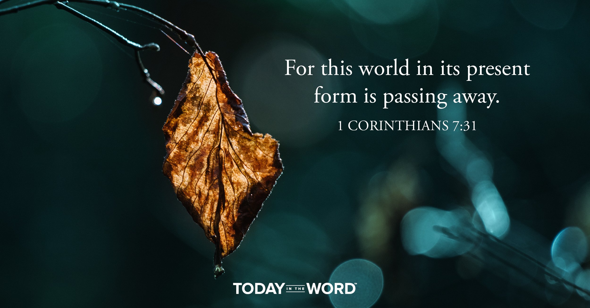 Daily Devotional Bible Verse | 1 Corinthians 7:31 For this world in its present form is passing away.