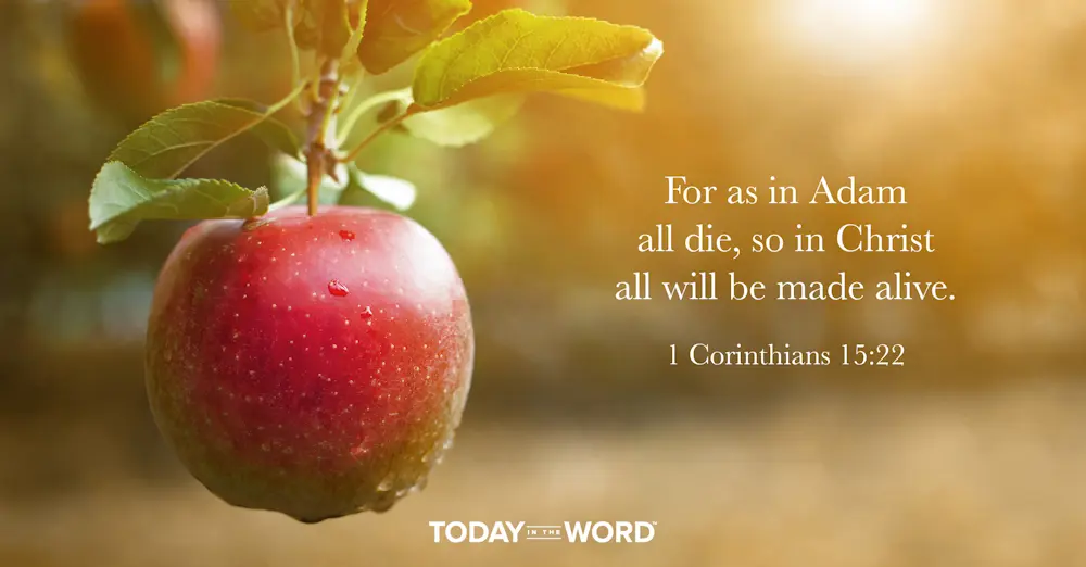 Daily Devotional Bible Verse | 1 Corinthians 15:22 For as in Adam all die, so in Christ all will be made alive.