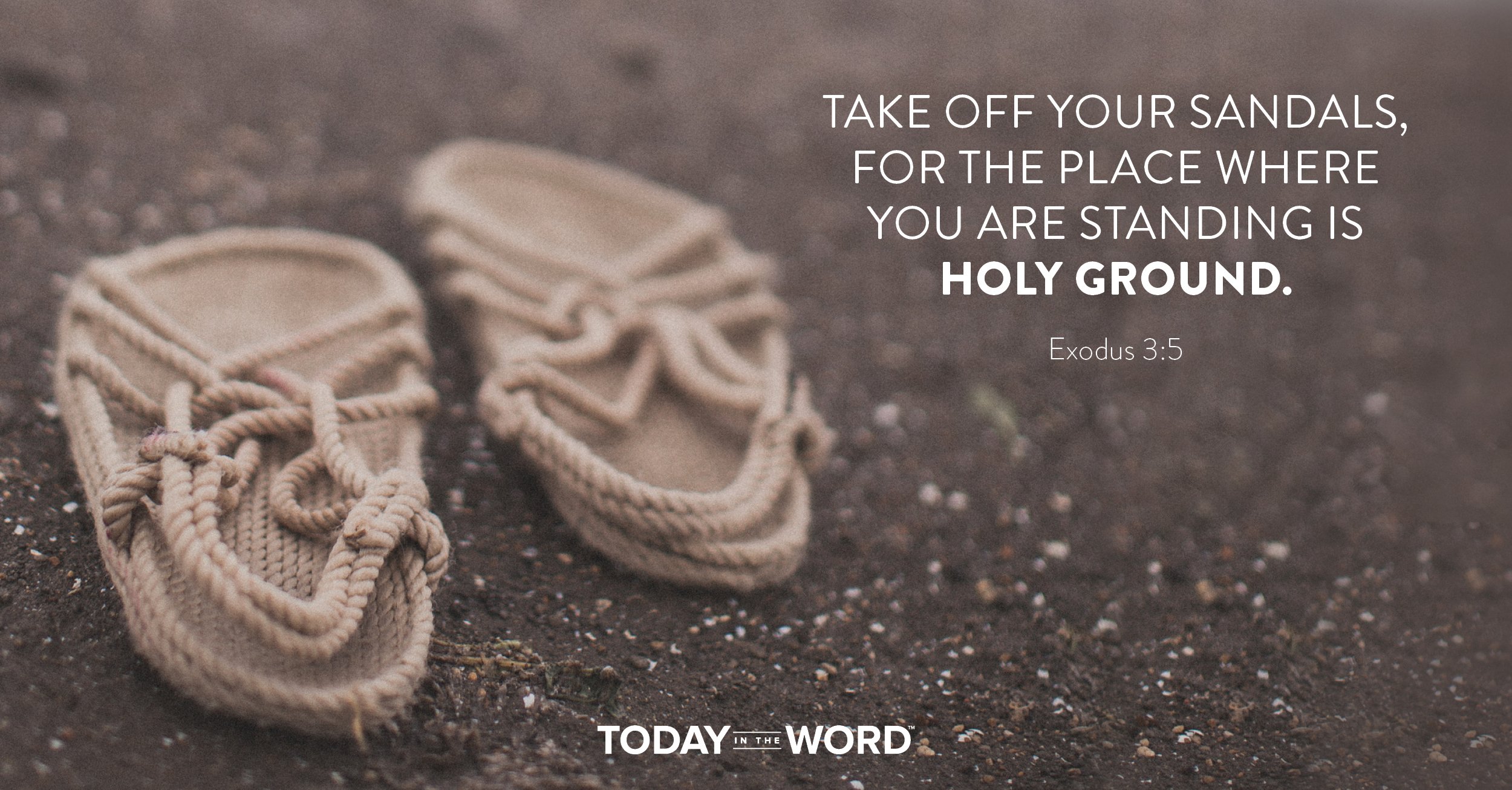 Daily Devotional Bible Verse | Exodus 3:5 Take off your sandals, for the place where you are standing is holy ground.