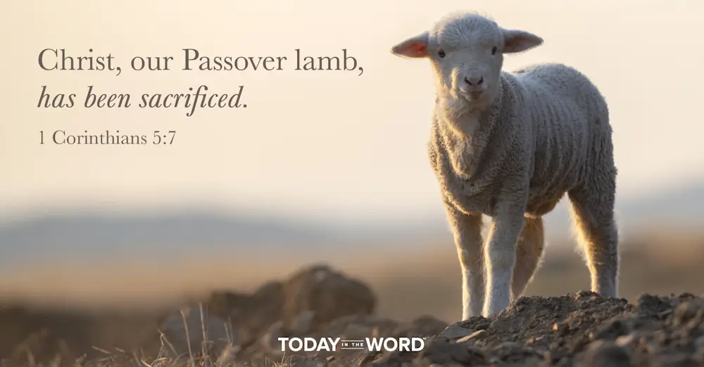 Daily Devotional Bible Verse | 1 Corinthians 5:7 Christ, our Passover lamb, has been sacrificed.