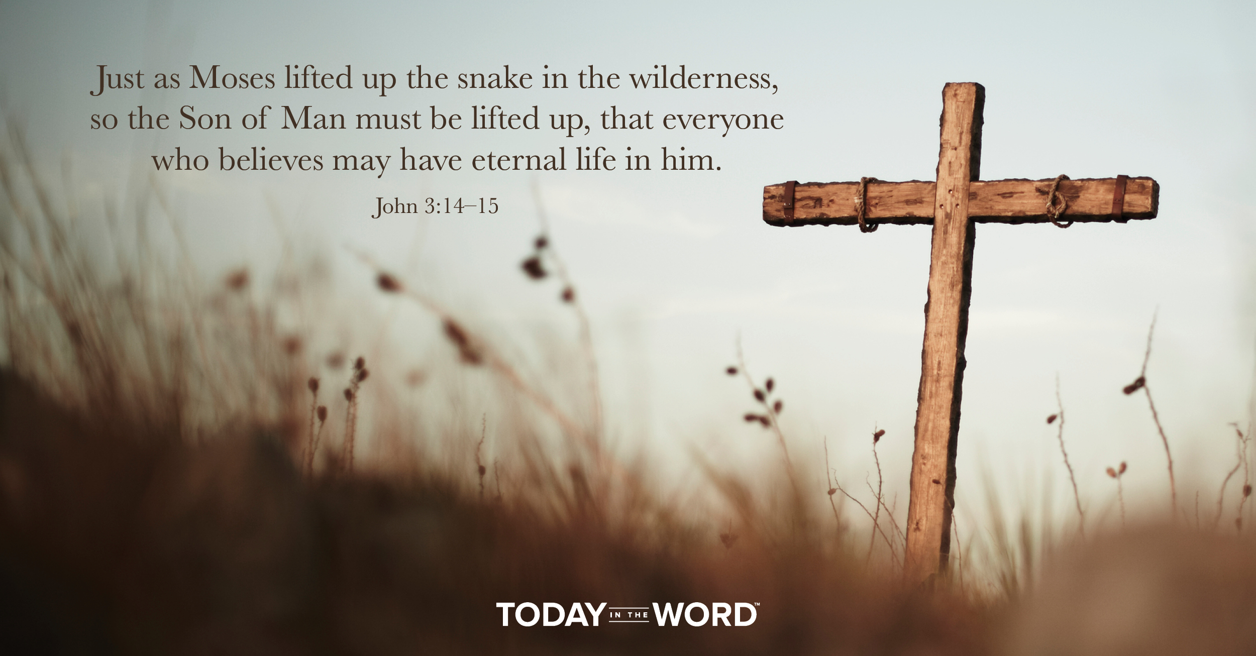 Daily Devotional Bible Verse | John 3:14-15 Just as Moses lifted up the snake in the wilderness, so the Son of Man must be lifted up, that everyone who believes may have eternal life in him.