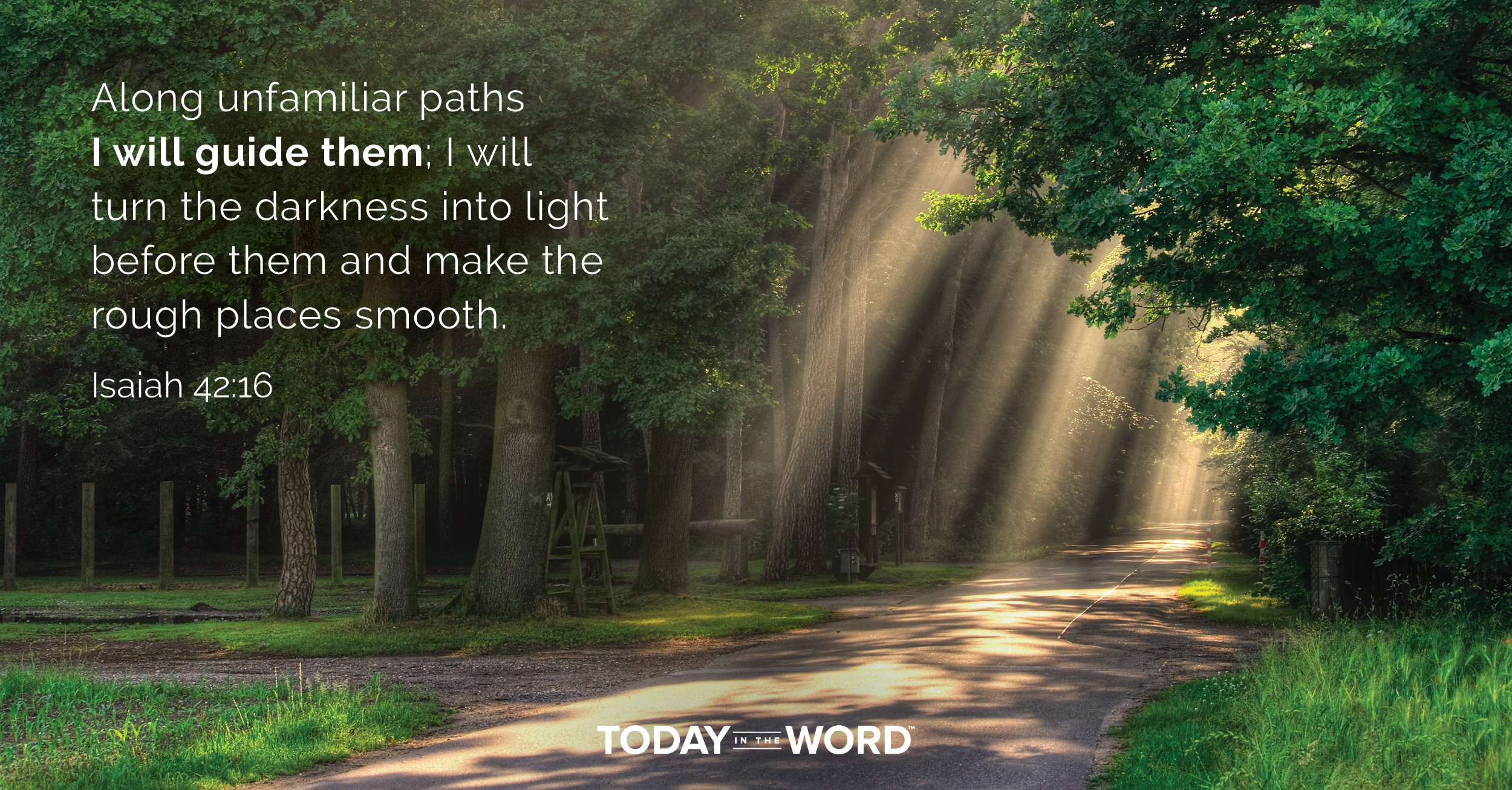 Daily Devotional Bible Verse | Isaiah 42:16 Along unfamiliar paths I will guide them; I will turn the darkness into light before them and make the rough places smooth.