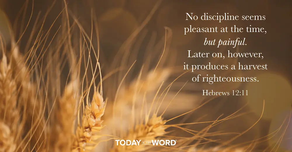 Daily Devotional Bible Verse | Hebrews 12:11 No discipline seems pleasant at the time, but painful. Later on, however, it produces a harvest of righteousness.