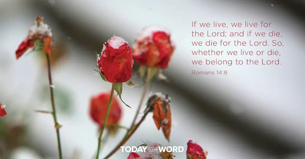 Daily Devotional Bible Verse | Romans 14:8 If we live, we live for the Lord; and if we die, we die for the Lord. So whether we live or die, we belong to the Lord.