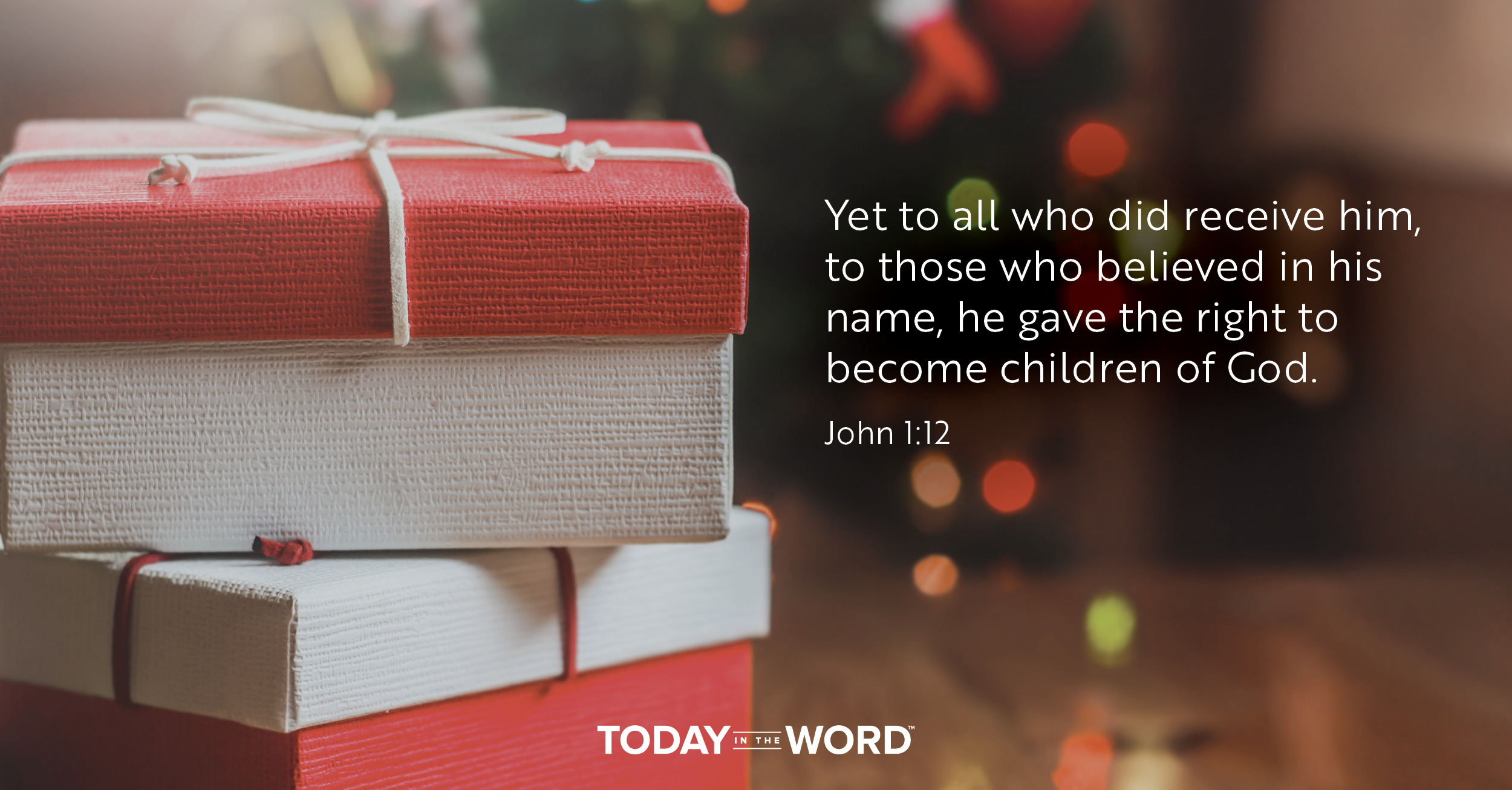 Daily Devotional Bible Verse | John 1:12 Yet to all who did receive him, to those who believed in his name, he gave the right to become children of God.