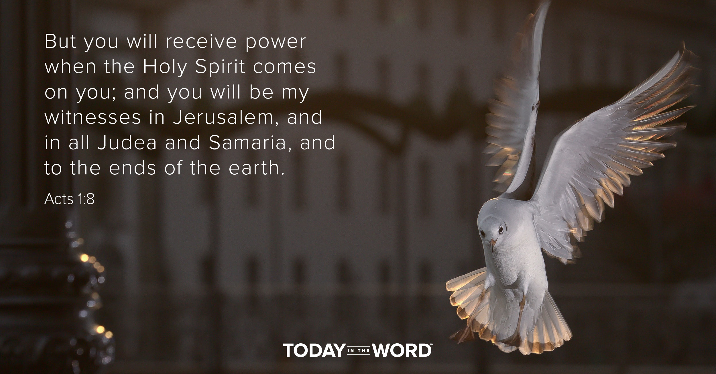 Daily Devotional Bible Verse | Acts 1:8 But you will receive power when the Holy Spirit comes on you; and you will be my witnesses in Jerusalem, and in all Judea and Samaria, and to the ends of the earth.