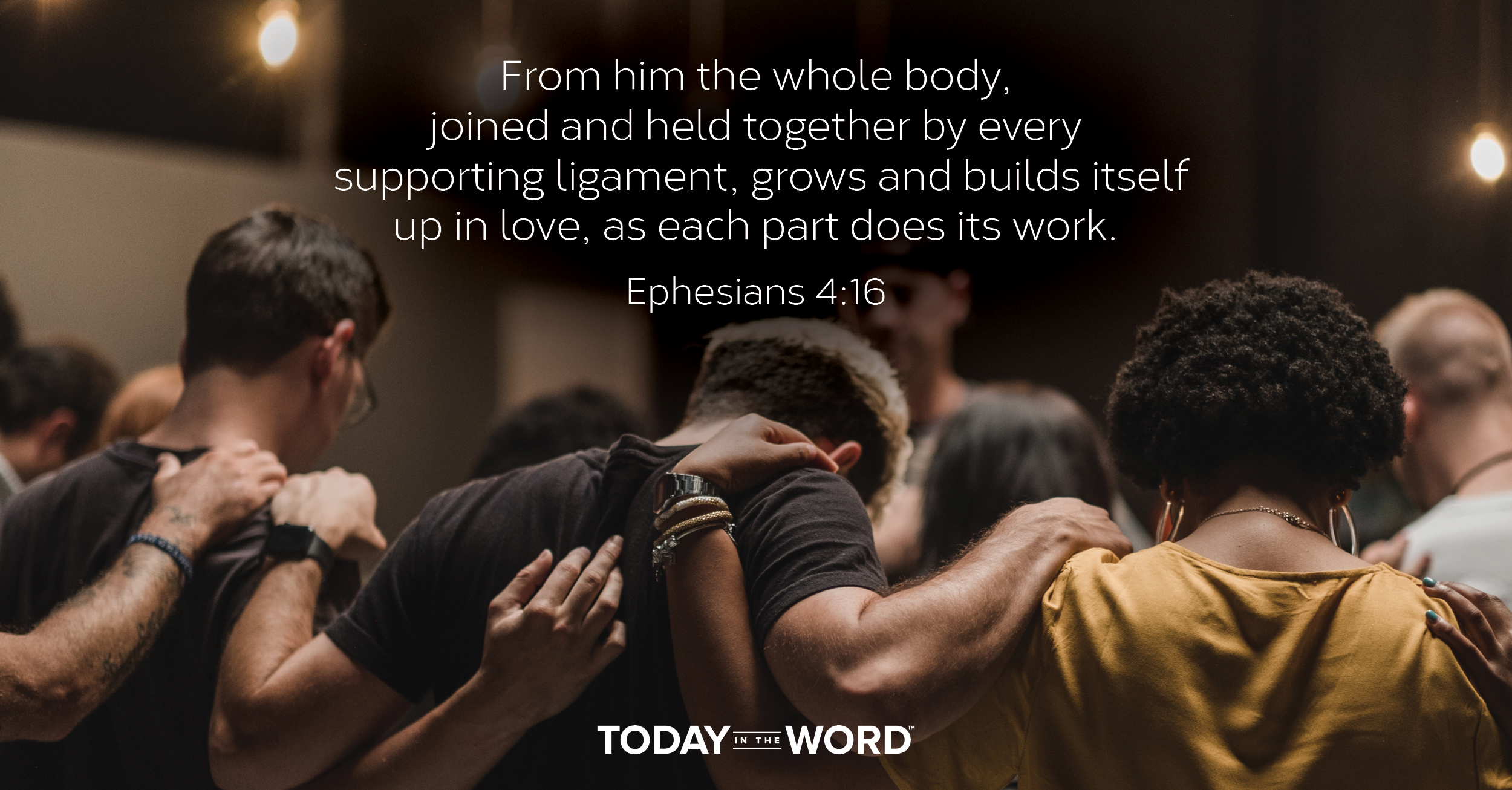 Daily Devotional Bible Verse | Ephesians 4:16 From him the whole body, joined and held together by every supporting ligament, grows and builds itself up in love, as each part does its work.