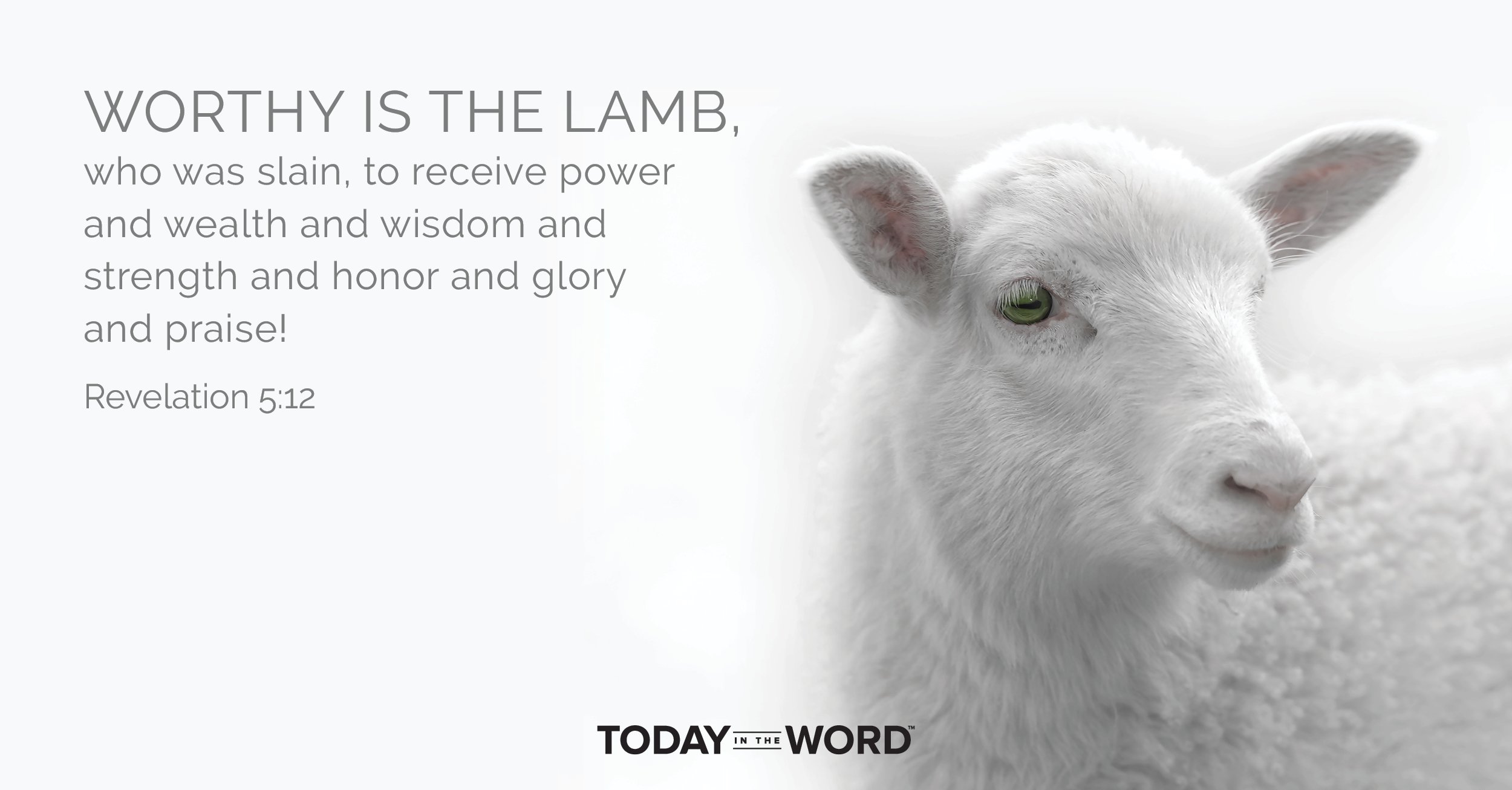 Daily Devotional Bible Verse | Revelation 5:12 Worthy is the Lamb, who was slain, to receive power and wealth and wisdom and strength and honor and glory and praise!