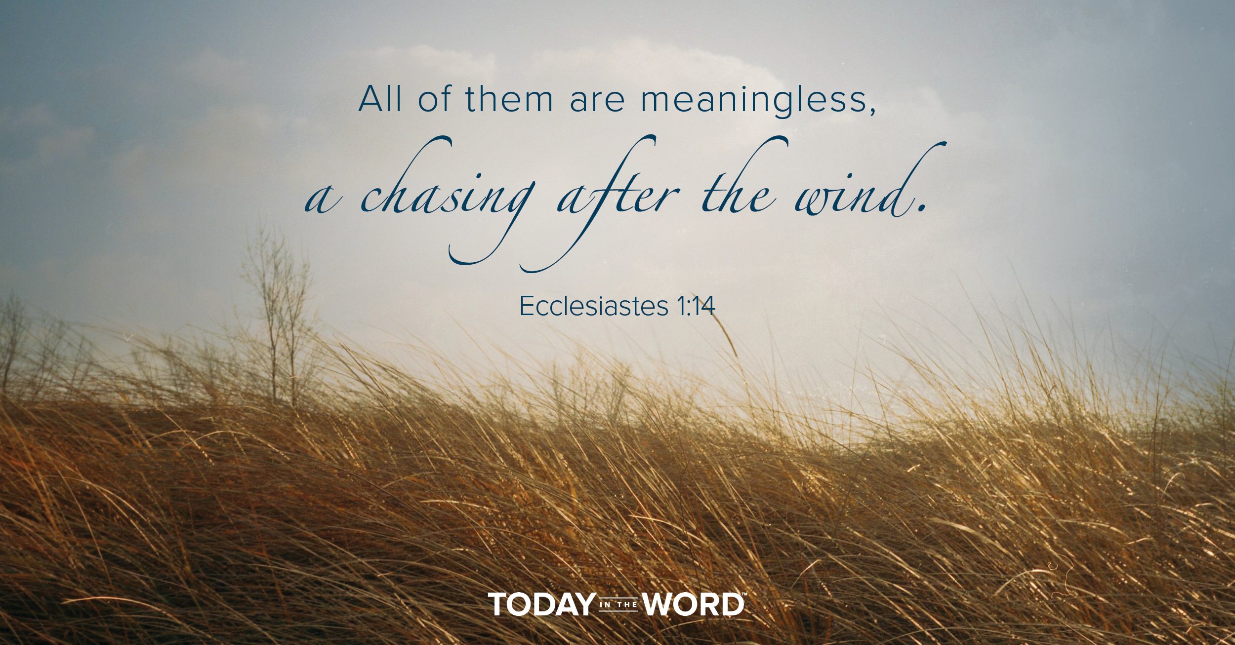 Daily Devotional Bible Verse | Ecclesiastes 1:14 All of them are meaningless, a chasing after the wind.