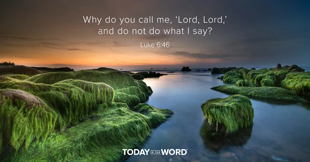 Daily Devotional Bible Verse | Luke 6:46 Why do you call me, 'Lord, Lord,' and do not do what I say?