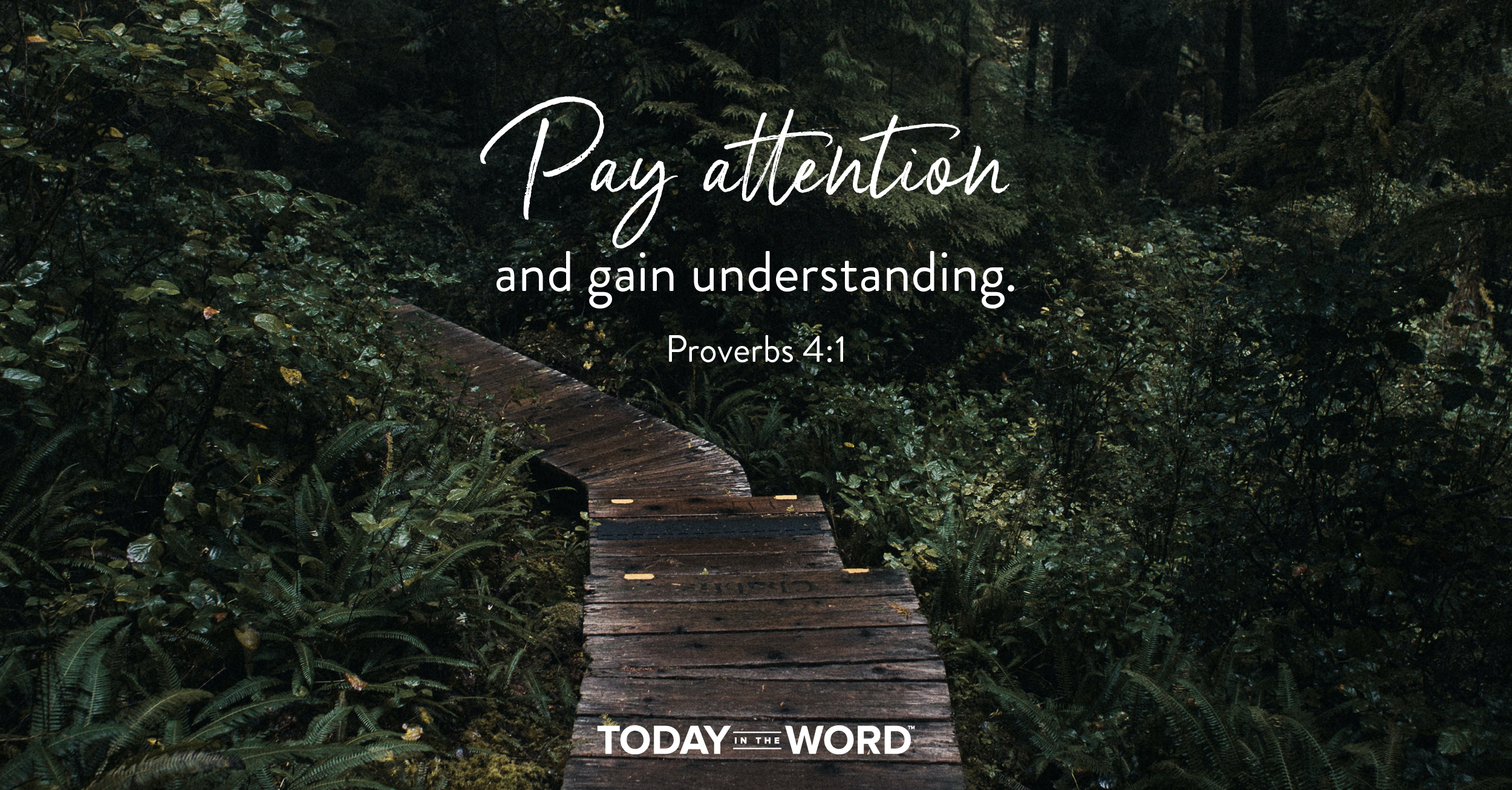 Daily Devotional Bible Verse | Proverbs 4:1 Pay attention and gain understanding.