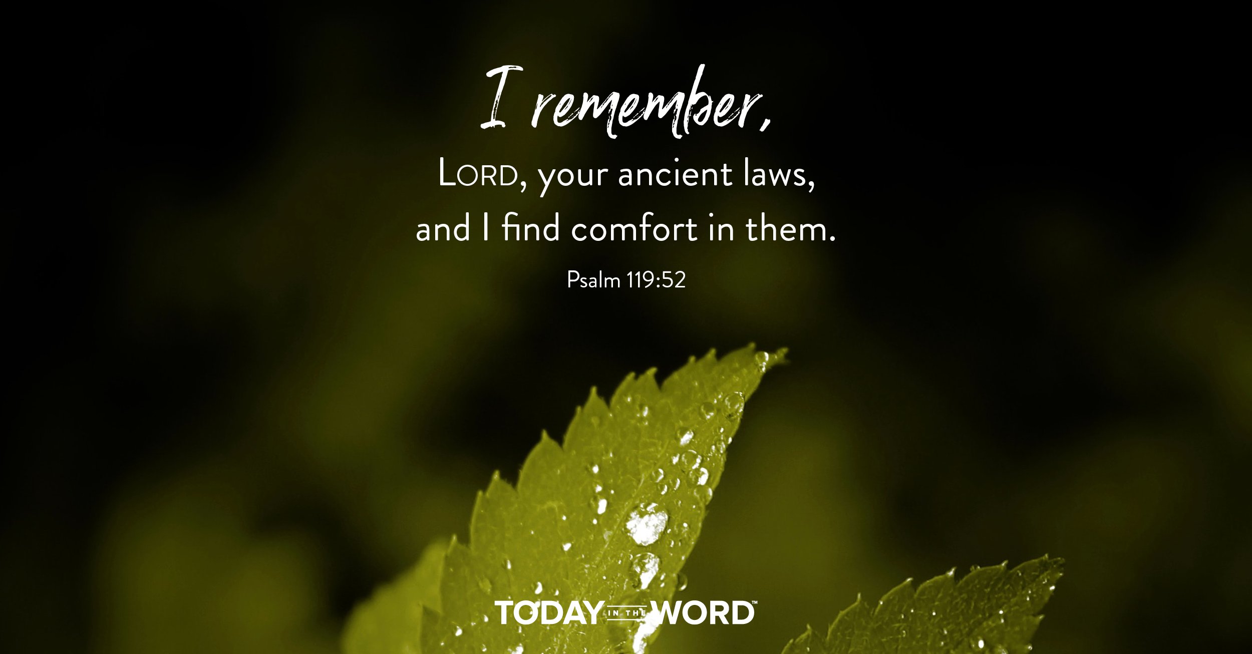 Daily Devotional Bible Verse | Psalm 119:52 I remember, Lord, your ancient laws, and I find comfort in them.