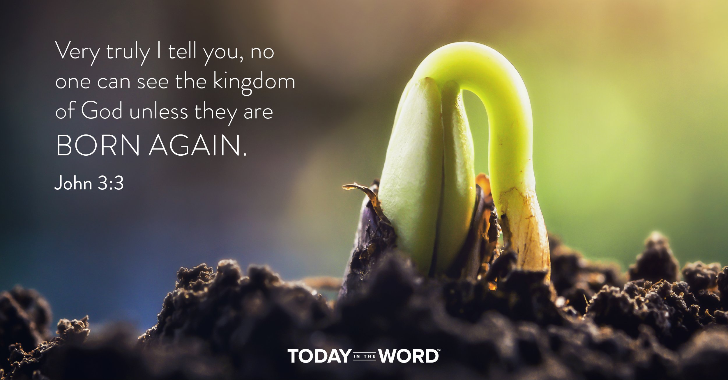 Daily Devotional Bible Verse | John 3:3 Very truly I tell you, no one can see the kingdom of God unless they are born again.