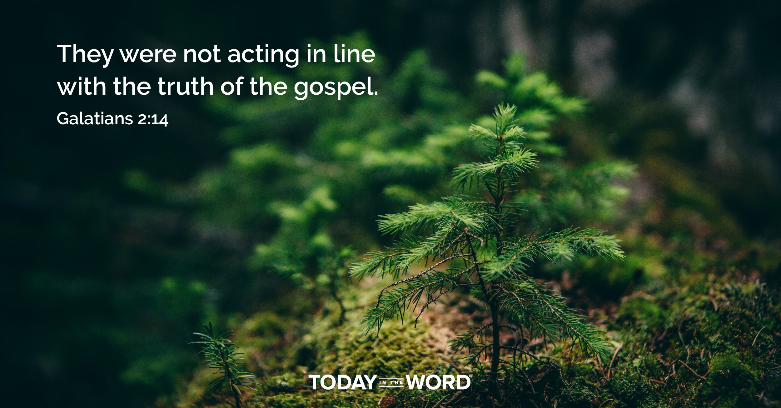 Daily Devotional Bible Verse | Galatians 2:14 They were not acting in line with the truth of the gospel.