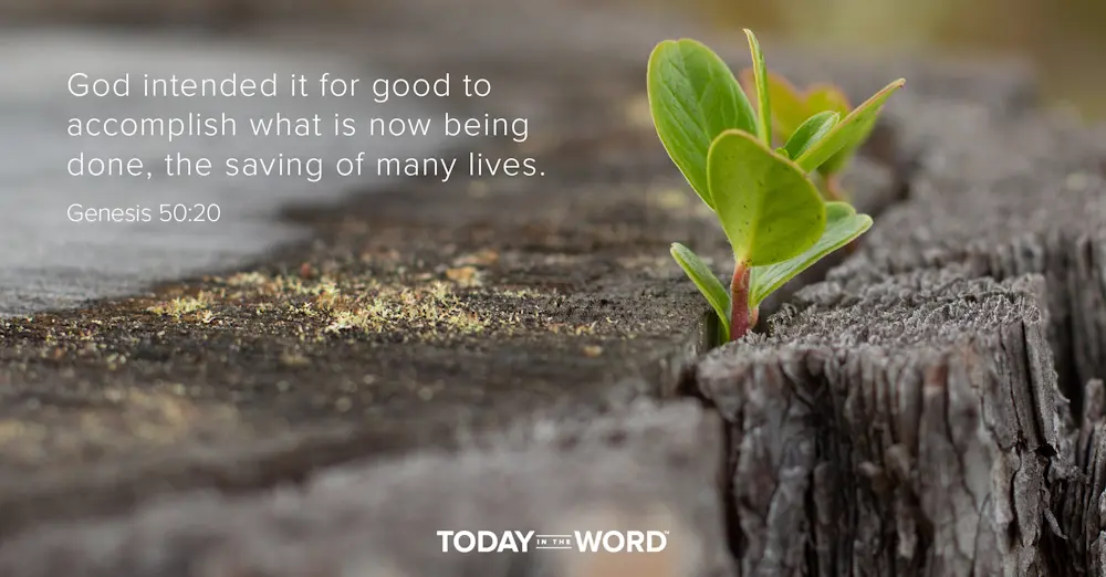 Daily Devotional Bible Verse | Genesis 50:20 God intended it for good to accomplish what is now being done, the saving of many lives.