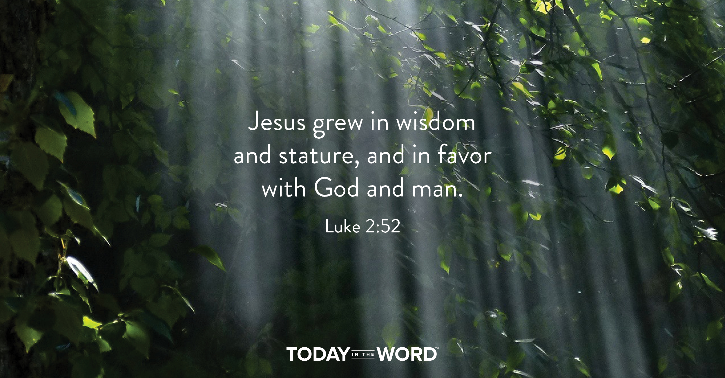 Daily Devotional Bible Verse | Luke 2:52 Jesus grew in wisdom and stature, and in favor with God and man.