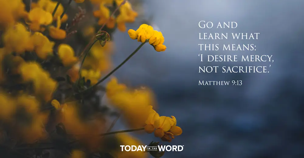 Daily Devotional Bible Verse | Matthew 9:13 Go and learn what this means: 'I desire mercy, not sacrifice.' 