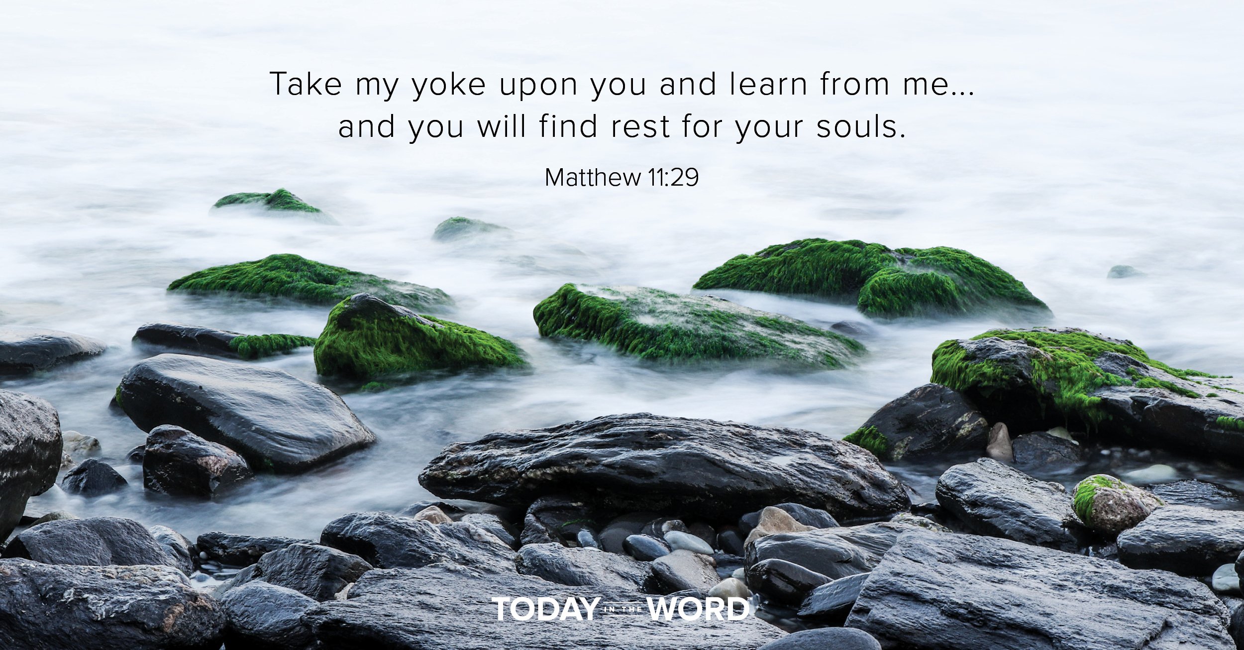 Daily Devotional Bible Verse | Matthew 11:29 Take my yoke upon you and learn from me... and you will find rest for your souls.