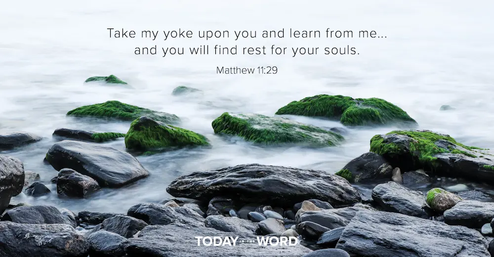 Daily Devotional Bible Verse | Matthew 11:29 Take my yoke upon you and learn from me... and you will find rest for your souls.