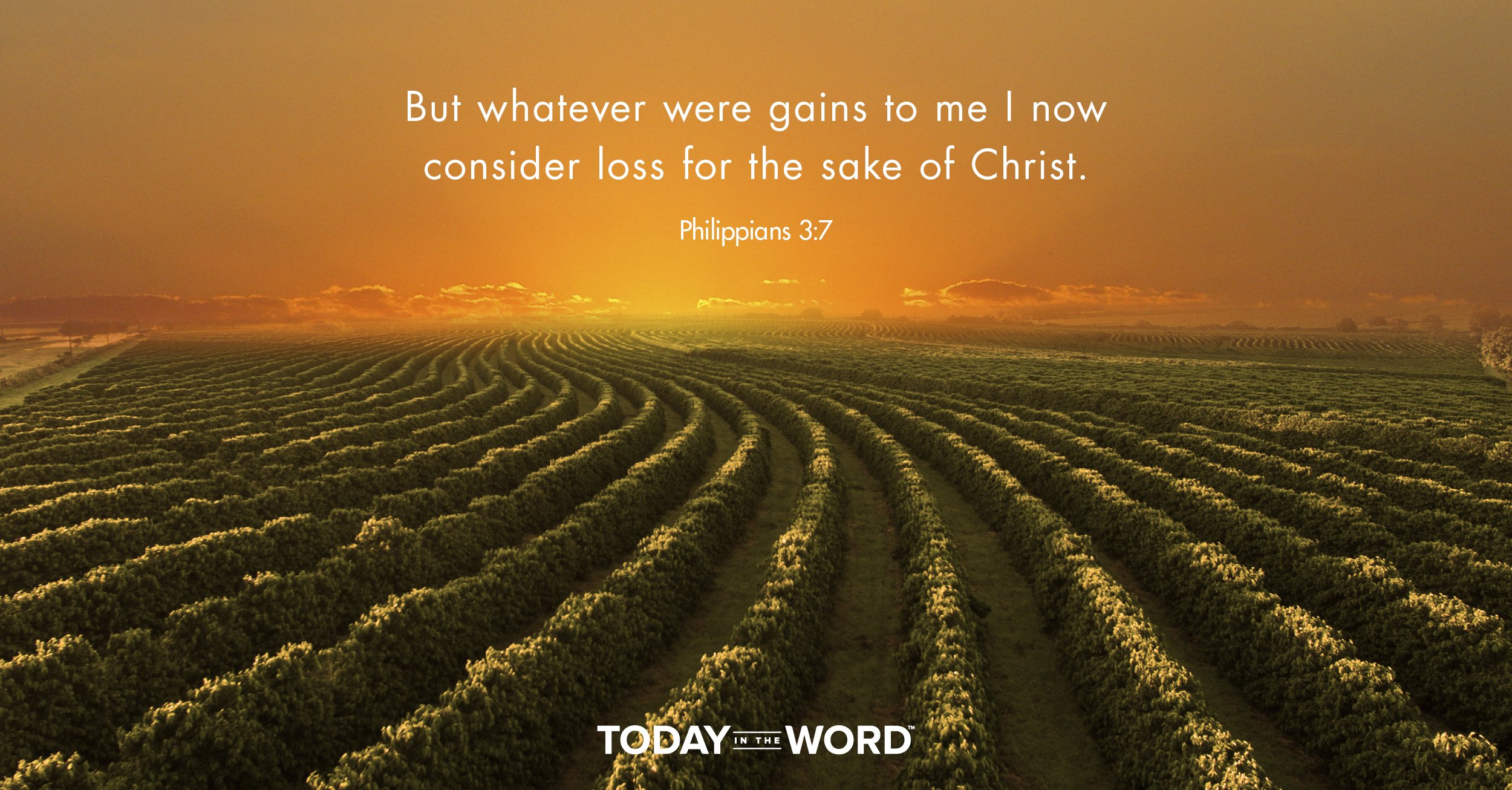 Daily Devotional Bible Verse | Philippians 3:7 But whatever were gains to me I now consider loss for the sake of Christ.