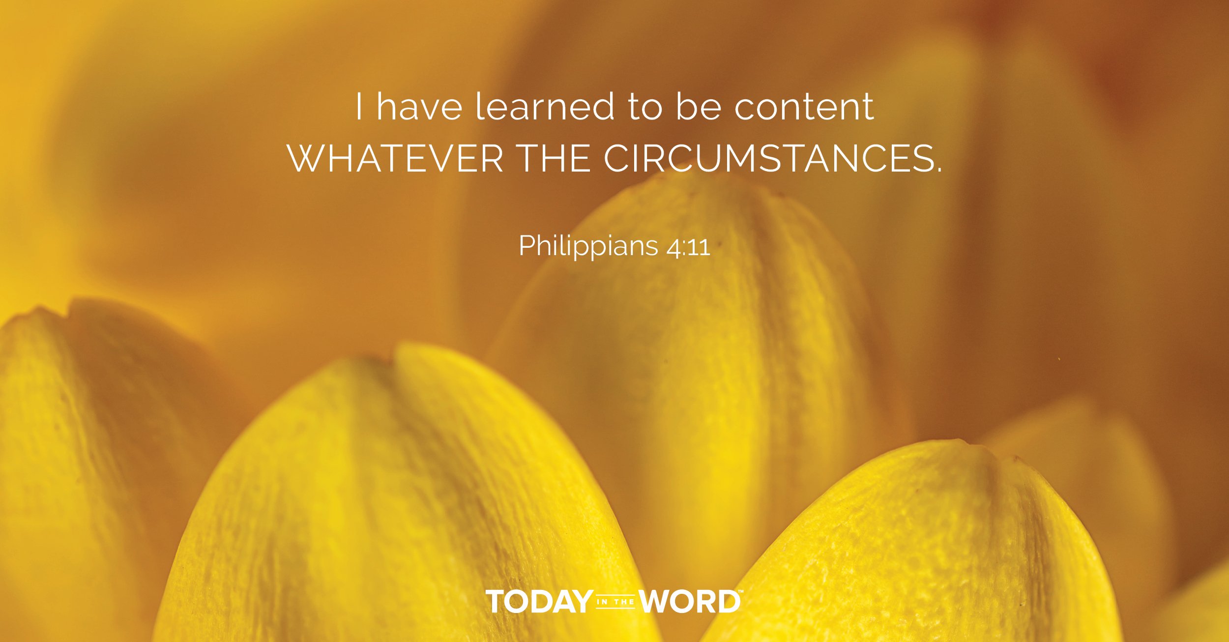 Daily Devotional Bible Verse | Philippians 4:11 I have learned to be content whatever the circumstances.