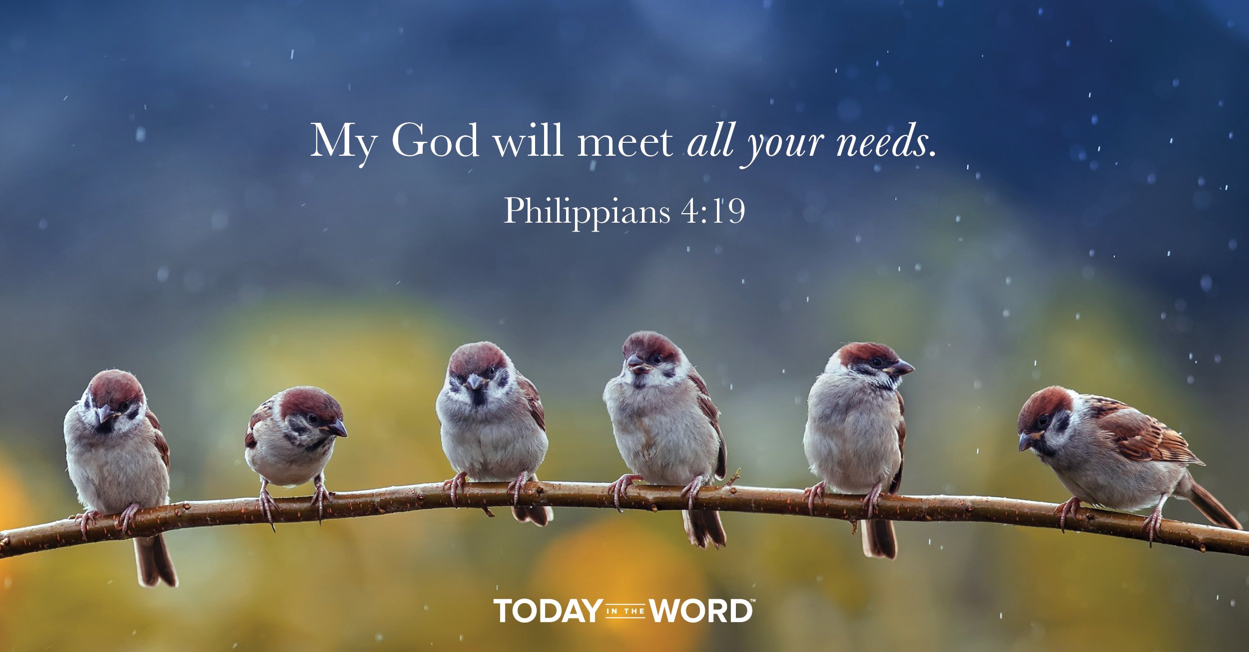 Daily Devotional Bible Verse | Philippians 4:19 My God will meet all your needs.