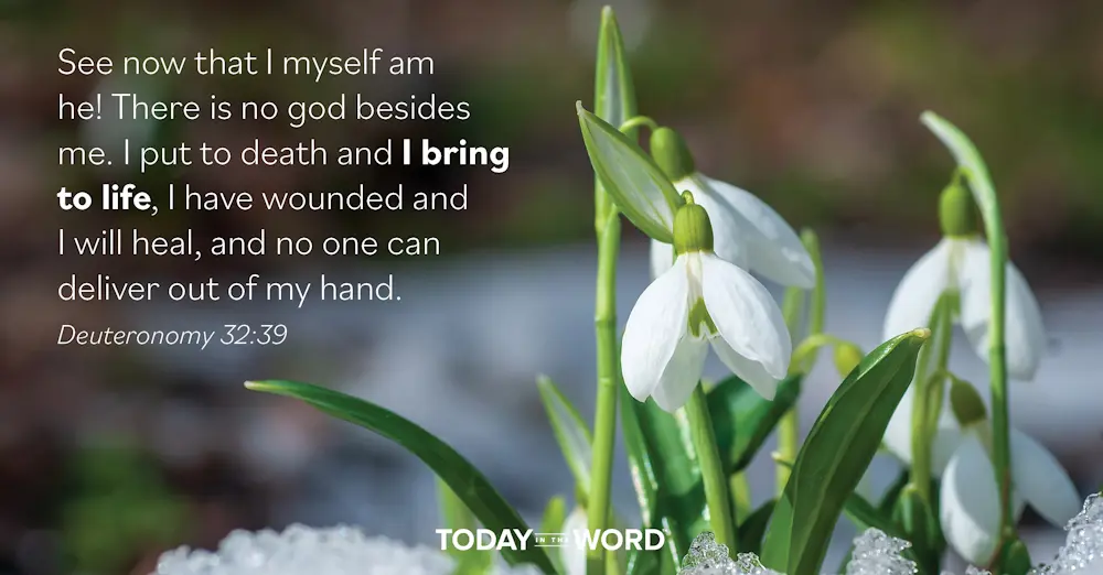 Daily Devotional Bible Verse | Deuteronomy 32:39 See now that I myself am he! There is no god besides me. I put to death and I bring to life, I have wounded and I will heal, and no one can deliver out of my hand.