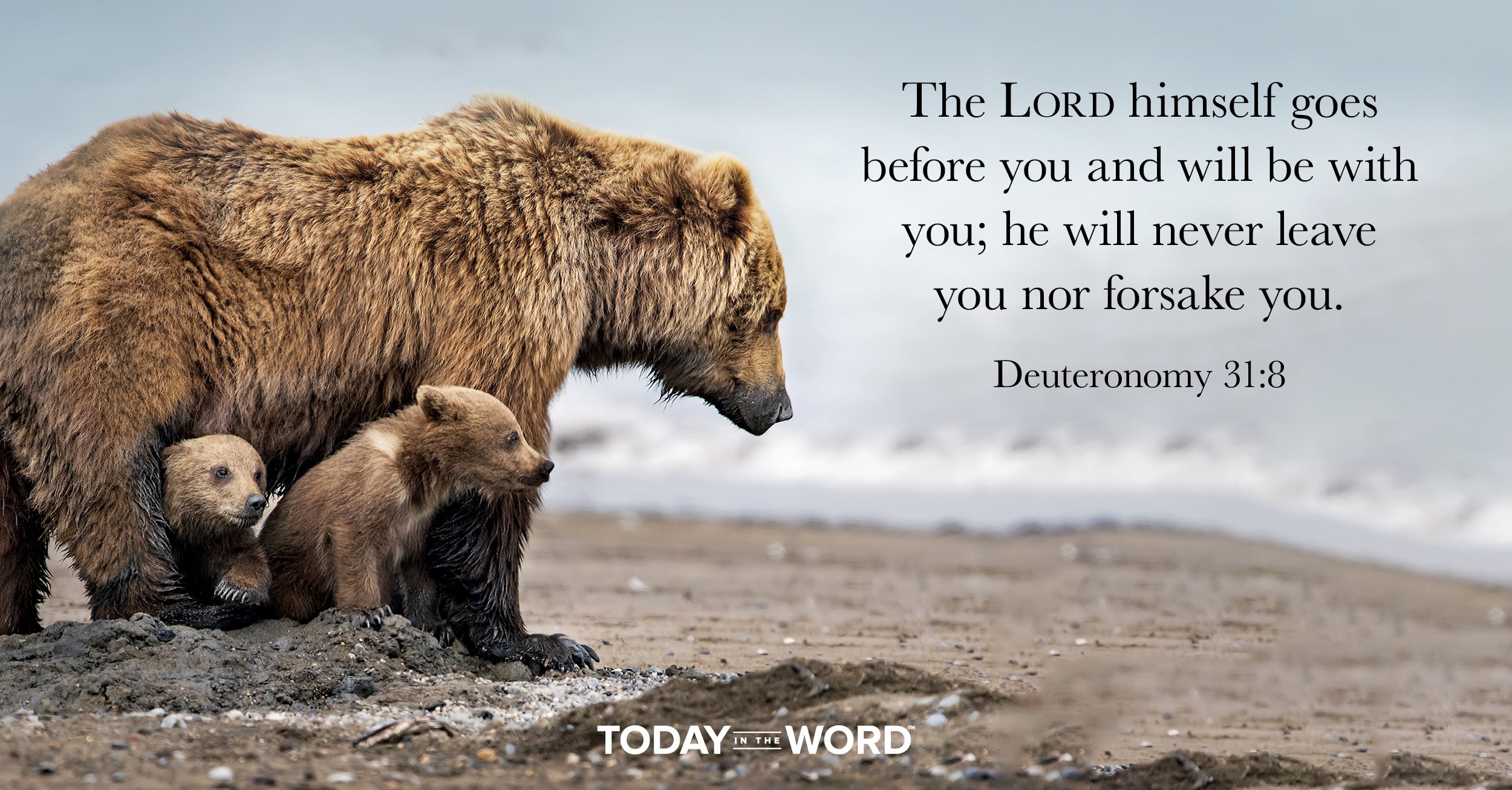 Daily Devotional Bible Verse | Deuteronomy 31:8 The Lord himself goes before you and will be with you; he will never leave you nor forsake you.