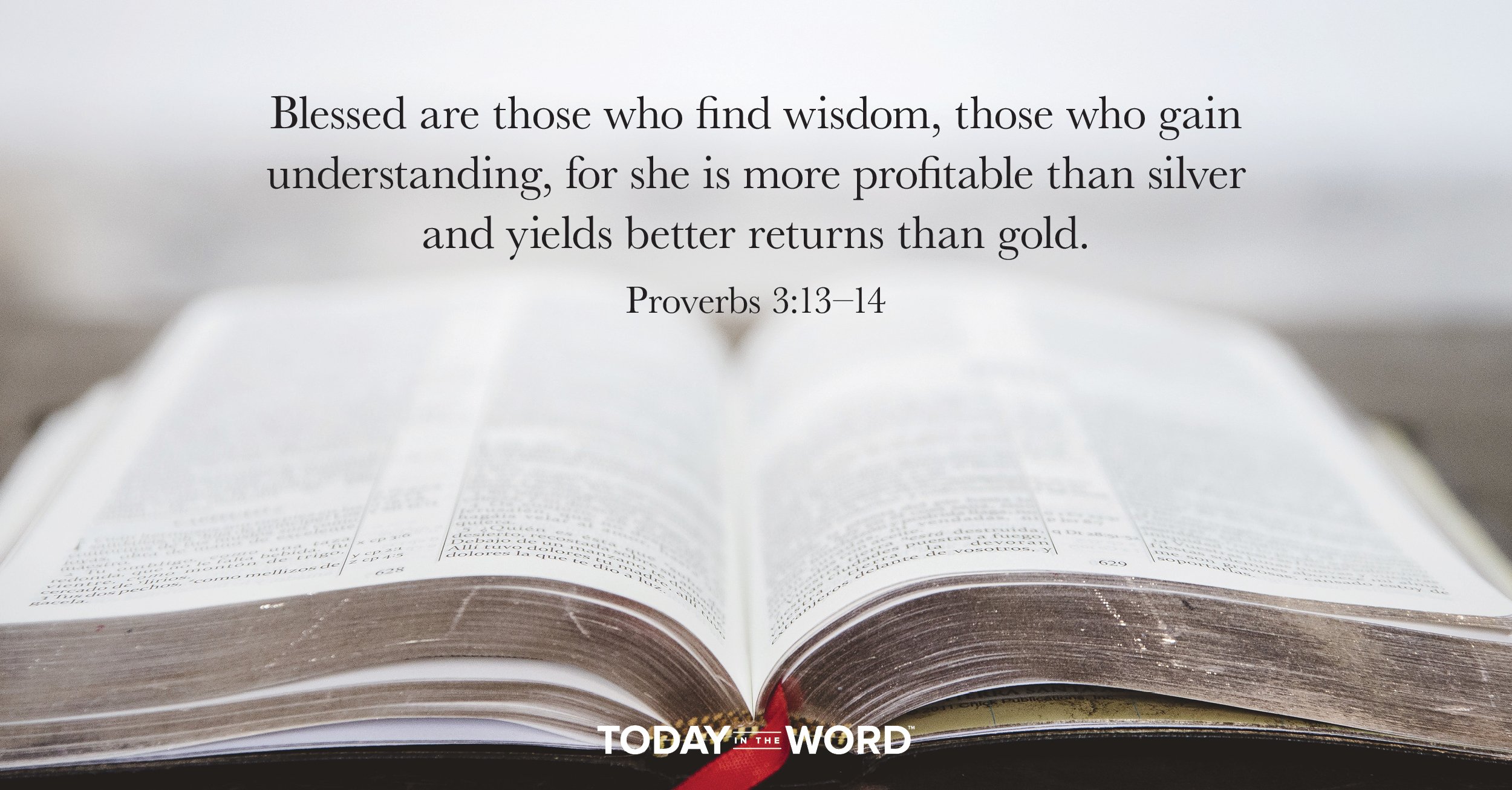 Daily Devotional Bible Verse | Proverbs 3:13-14 Blessed are those who find wisdom, those who gain understanding, for she is more profitable than silver and yields better returns than gold.