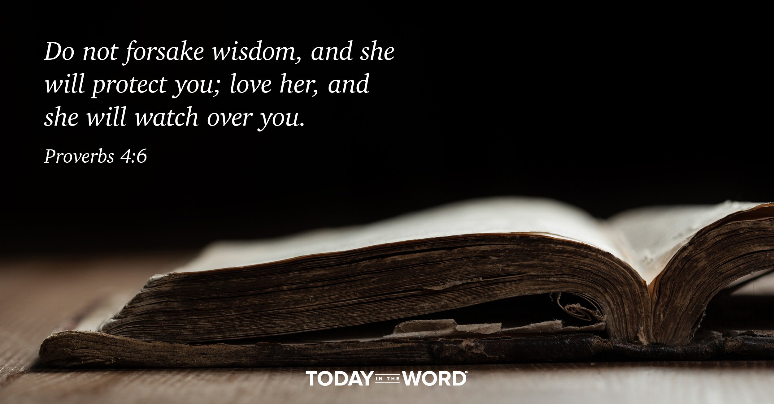 Daily Devotional Bible Verse | Proverbs 4:6 Do not forsake wisdom, and she will protect you; love her, and she will watch over you.