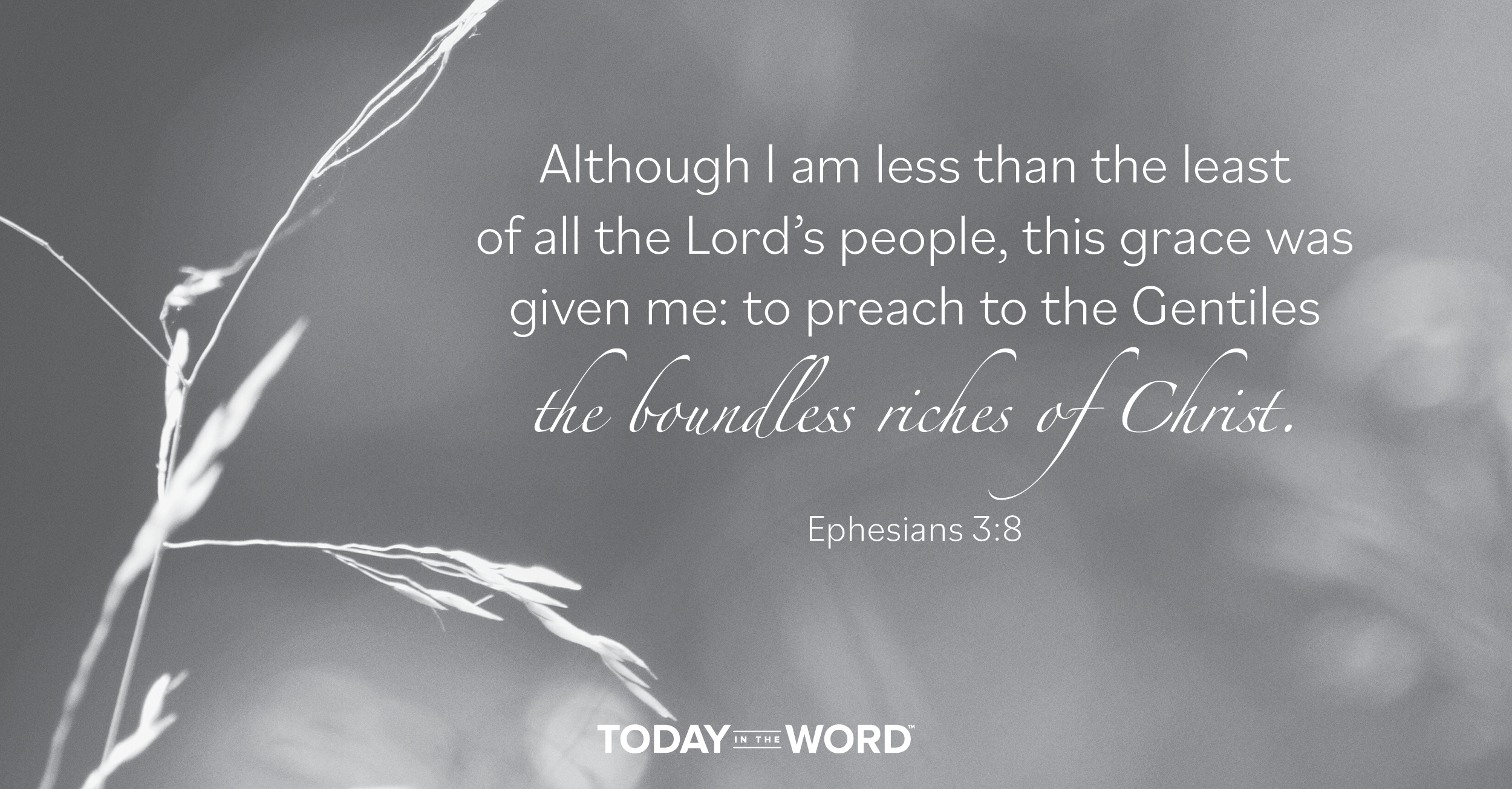 Daily Devotional Bible Verse | Ephesians 3:8 Although I am less than the least of all the Lord's people, this grace was given me: to preach to the Gentiles the boundless riches of Christ.