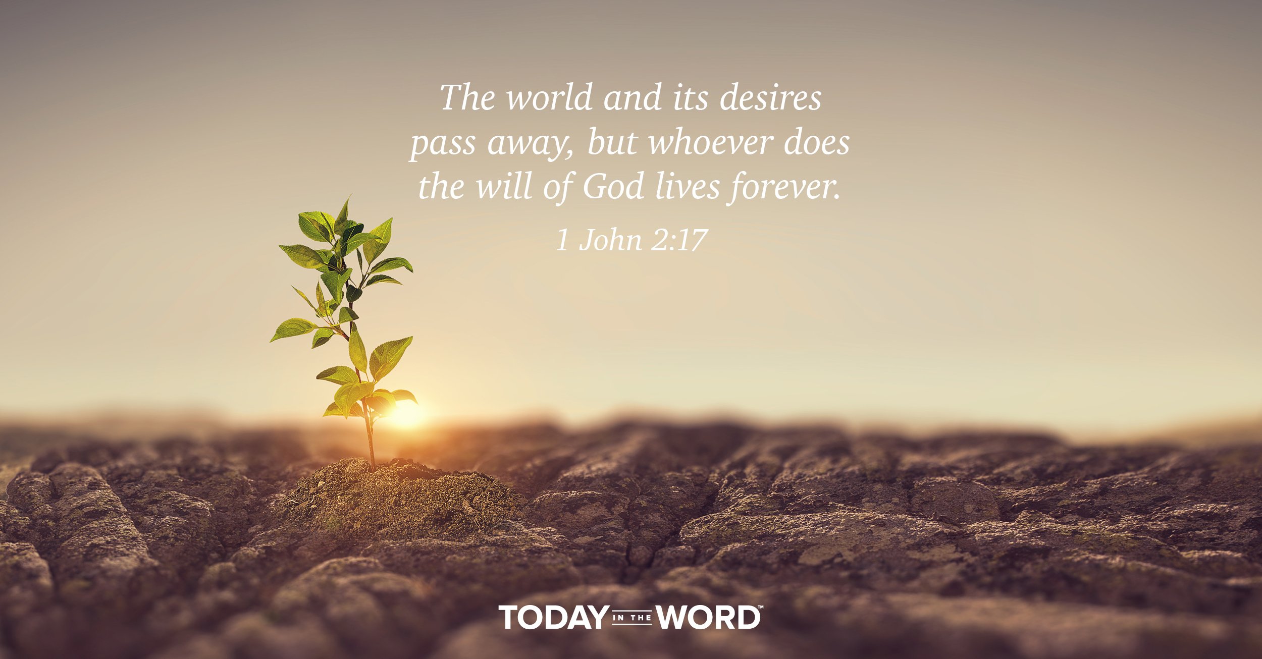 Daily Devotional Bible Verse | 1 John 2:17 The world and its desires pass away, but whoever does the will of God lives forever.