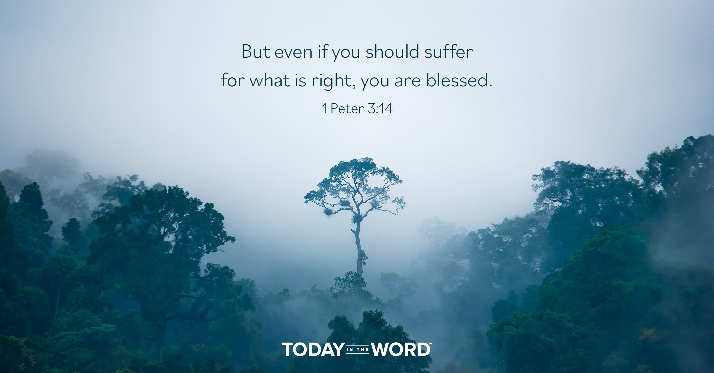 Daily Devotional Bible Verse | 1 Peter 3:14 But even if you should suffer for what is right, you are blessed.