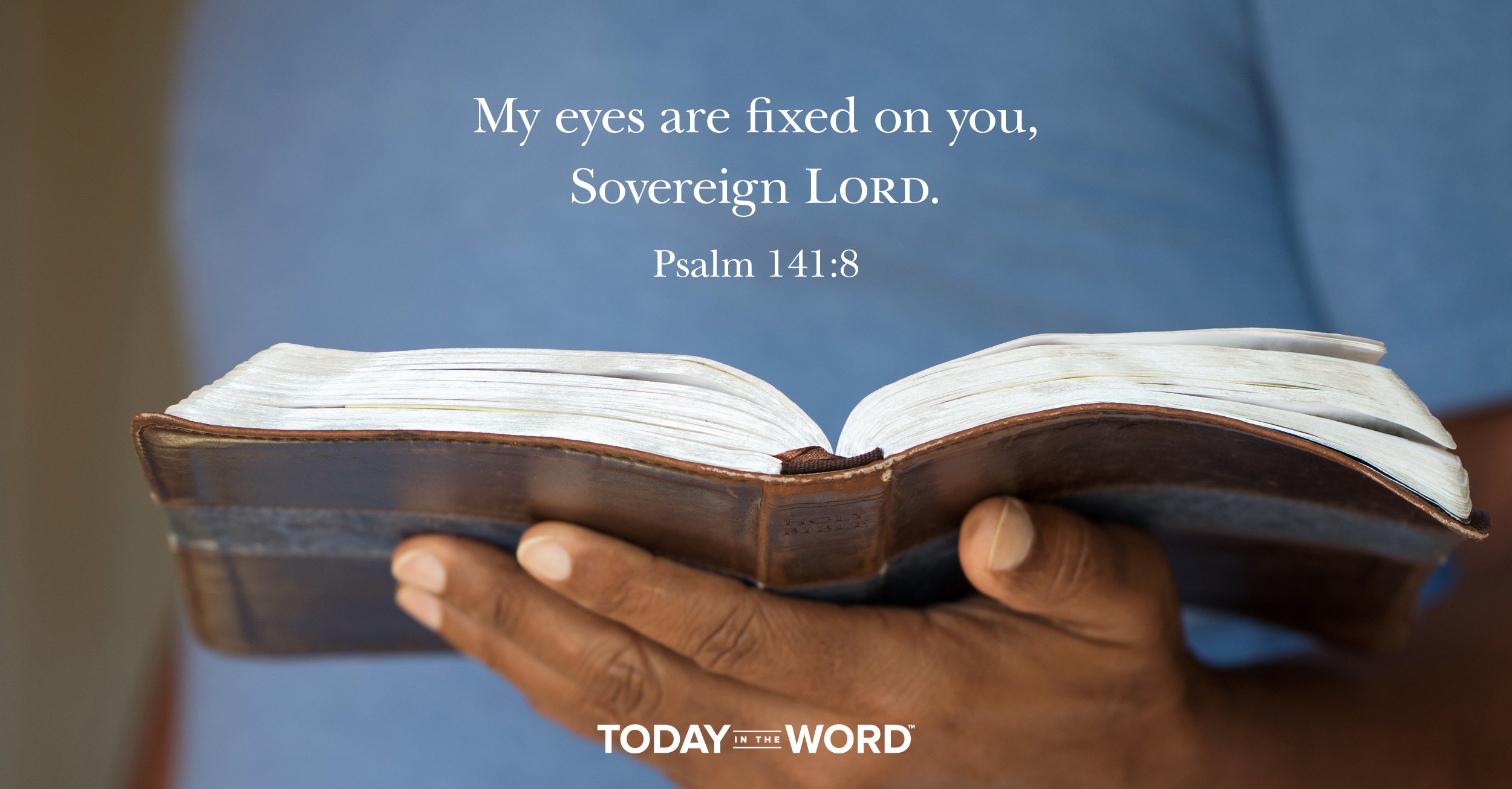 Daily Devotional Bible Verse | Psalm 141:8 My eyes are fixed on you, Sovereign Lord.