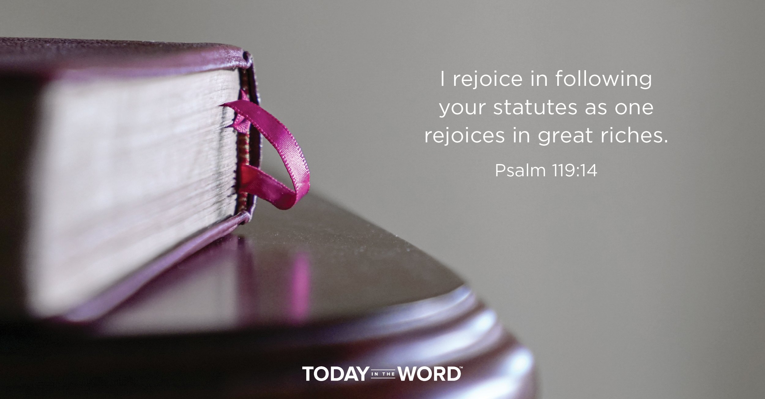 Daily Devotional Bible Verse | Psalm 119:14 I rejoice in following your statutes as one rejoices in great riches.