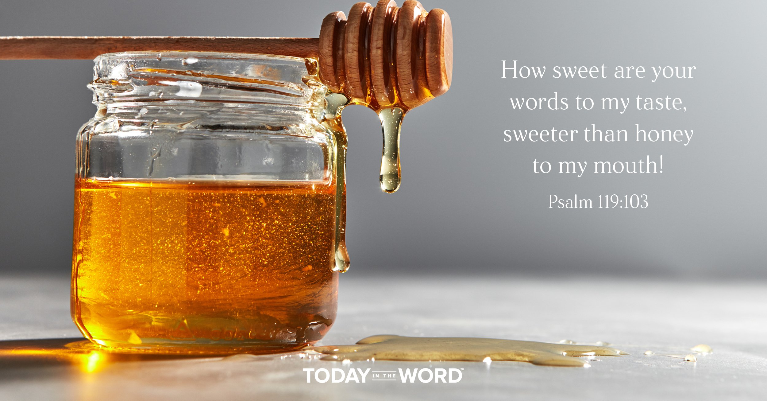 Daily Devotional Bible Verse | Psalm 119:103 How sweet are your words to my taste, sweeter than honey to my mouth!