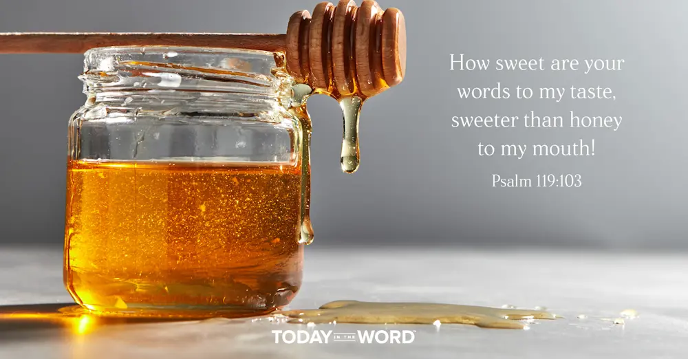 Daily Devotional Bible Verse | Psalm 119:103 How sweet are your words to my taste, sweeter than honey to my mouth!