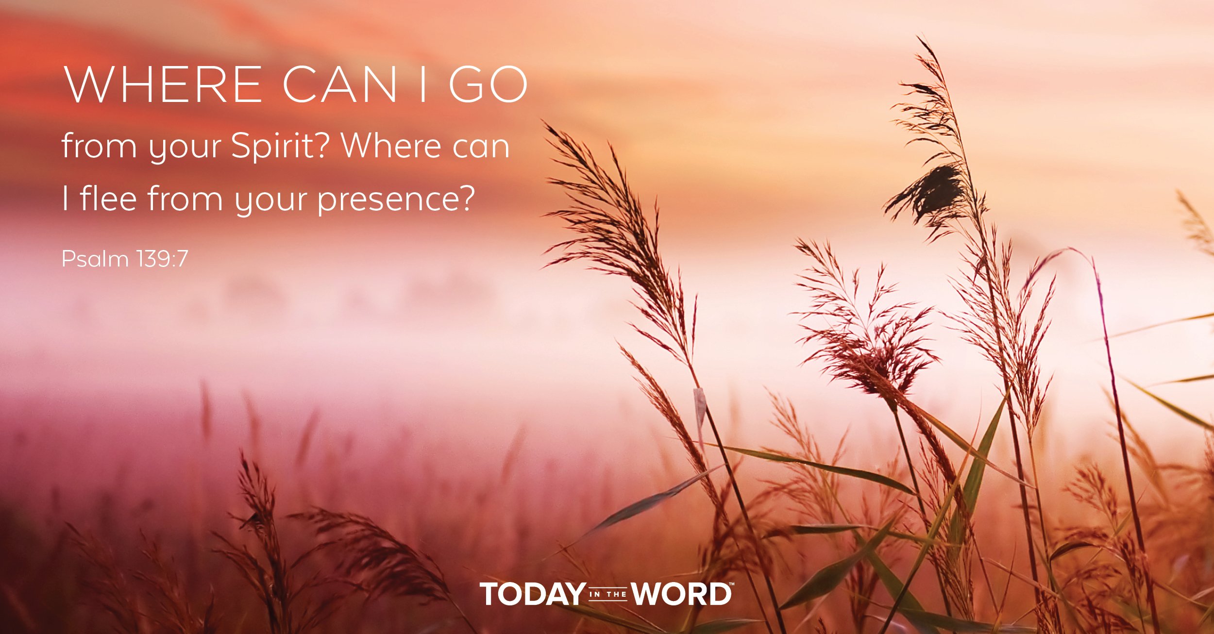 Daily Devotional Bible Verse | Psalm 139:7 Where can I go from your Spirit? Where can I flee from your presence?