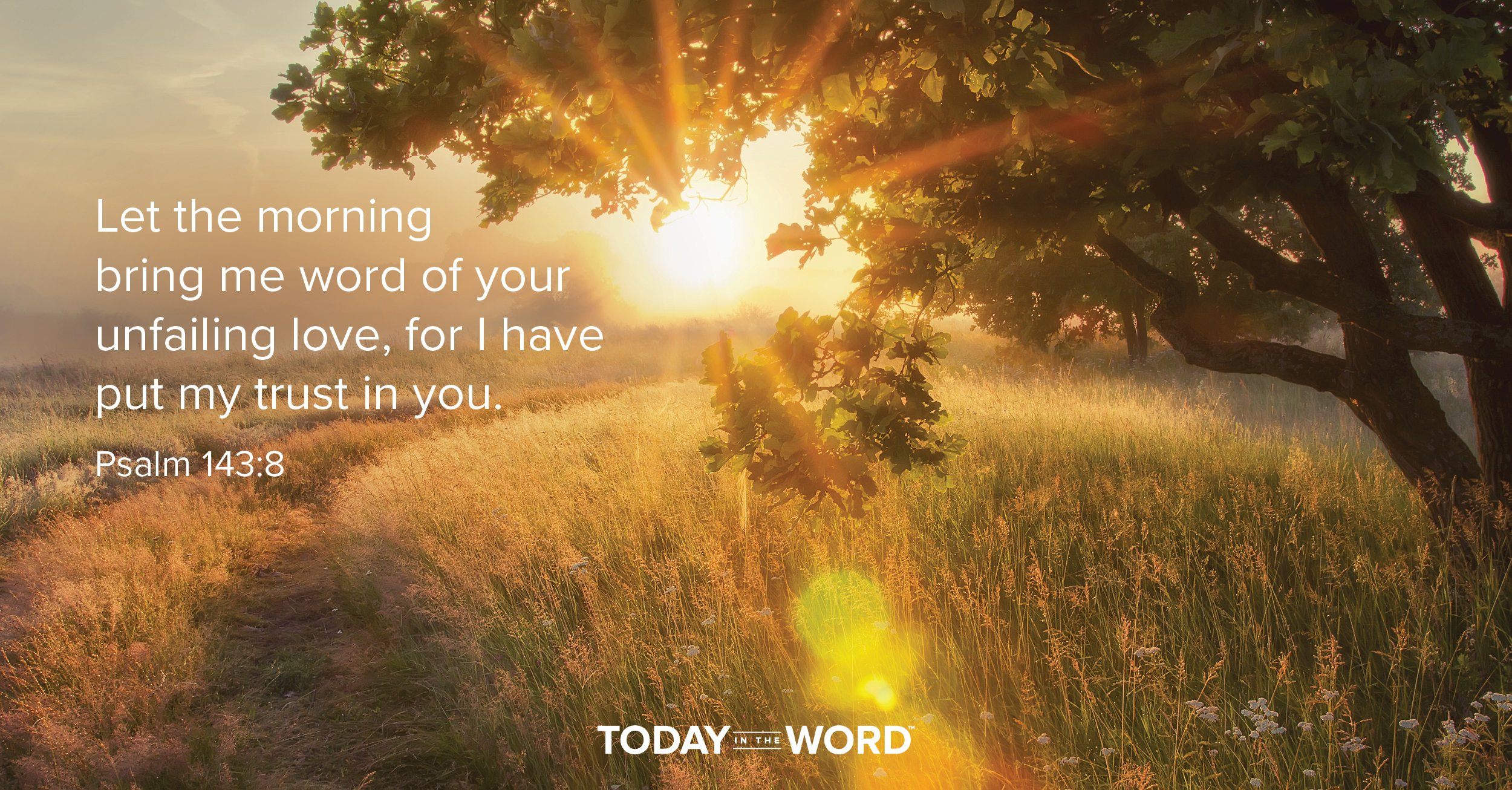 Daily Devotional Bible Verse | Psalm 143:8 Let the morning bring me word of your unfailing love, for I have put my trust in you.