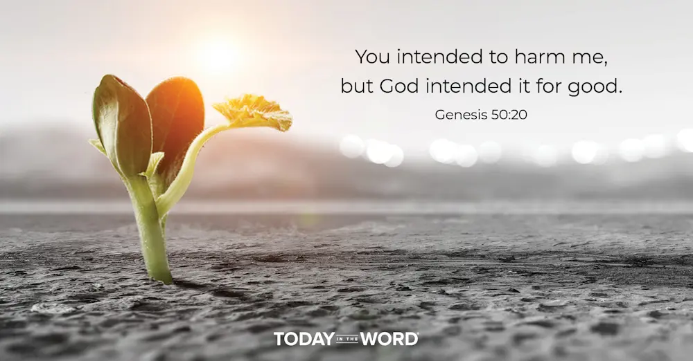 Daily Devotional Bible Verse | Genesis 50:20 You intended to harm me, but God intended it for good.